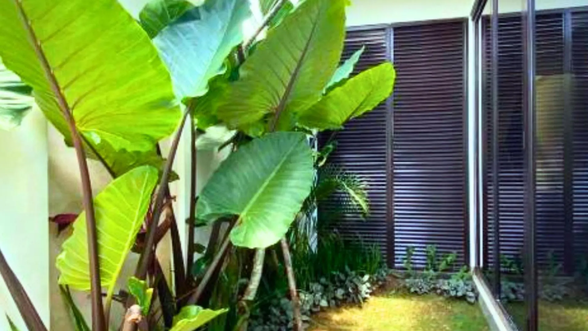 Narendra 1 Bedroom Apartment Ju39 Jimbaran   Jimbaran (Bali)